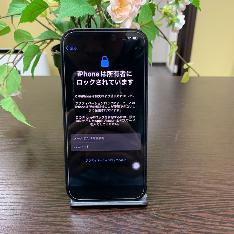 iPhone 15 ֥å128GB SIMե꡼ ̵