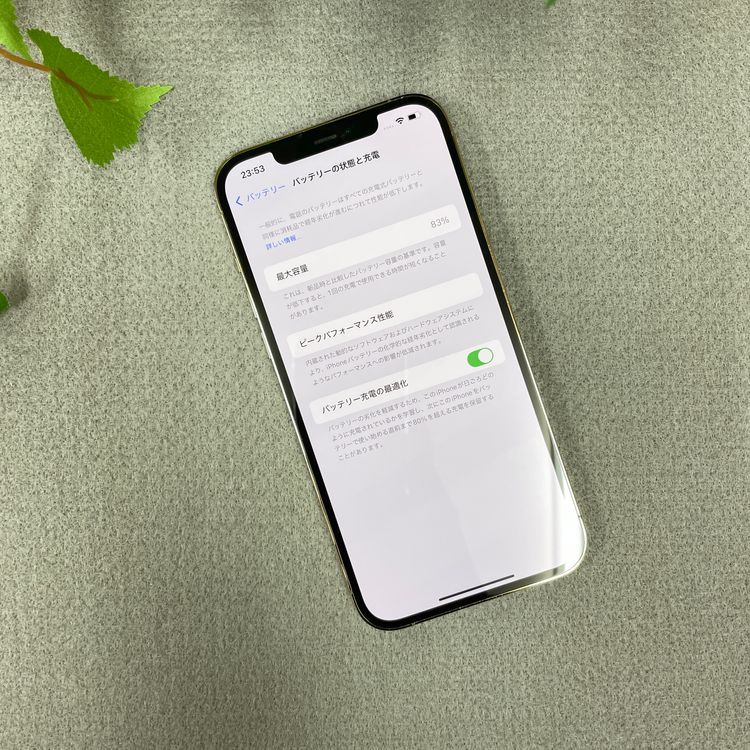 iPhone12 Pro Max 256Gb  SIMե꡼ ̵