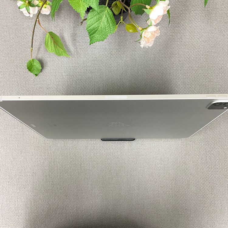 iPad Pro 12.9���������4�����128GB Wi-Fi + Cellular��ǥ�