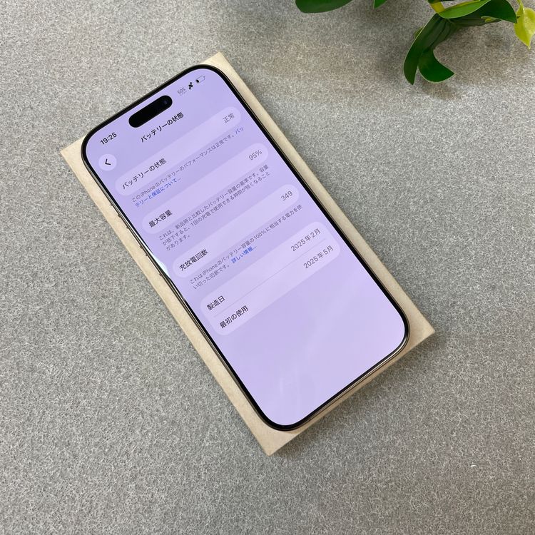 �Хåƥ꡼ 95% iPhone 16Pro 256GB �ǥ����ȹ����� SIM�ե꡼