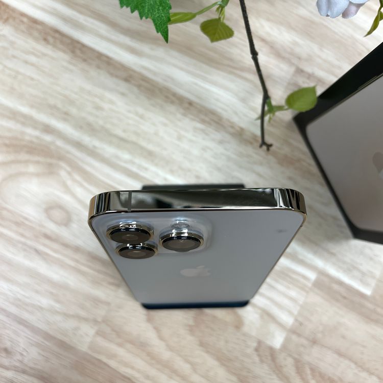 iPhone 13Pro 256GB  SIMե꡼ ̵