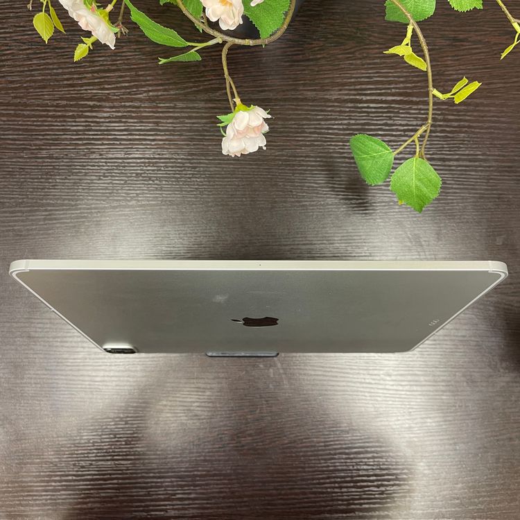 iPad Pro 12.94128GB Wi-Fi + Cellularǥ