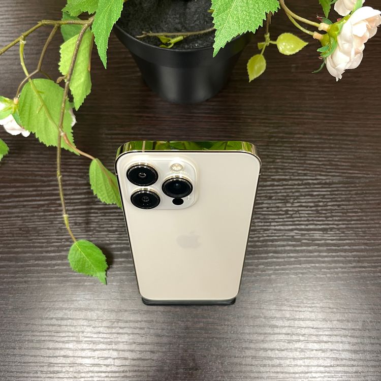 iPhone 13Pro 256GB  SIMե꡼ ̵