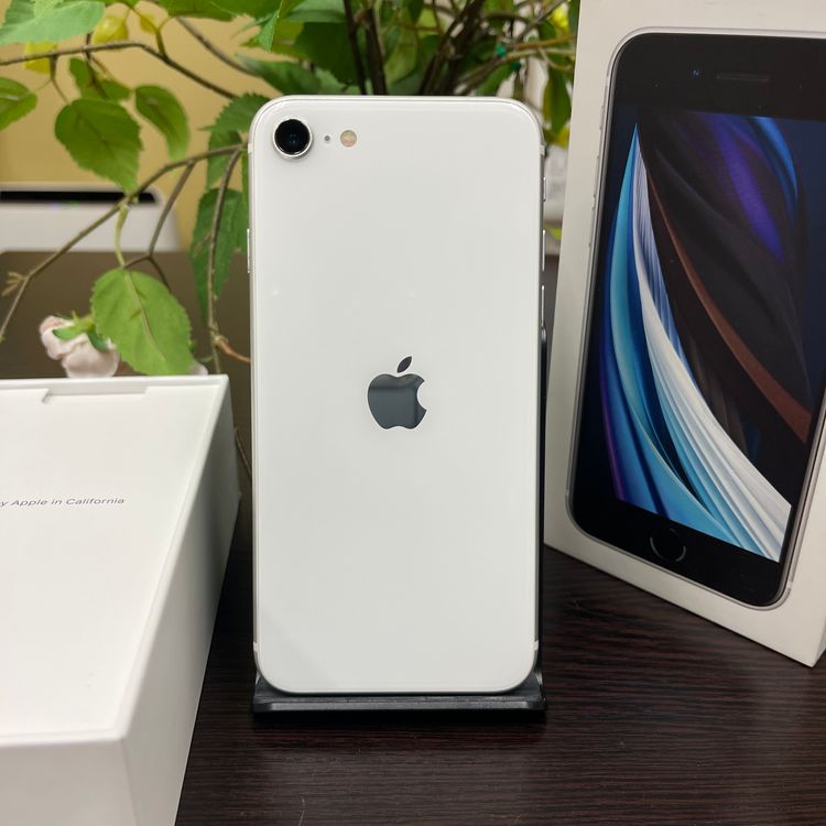 iPhone SE(裲) 64GB ۥ磻  SIMե꡼ ̵