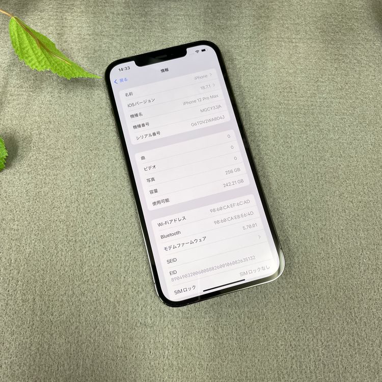 iPhone12 Pro Max 256Gb ����ե����� ����SIM�ե꡼ ����̵��