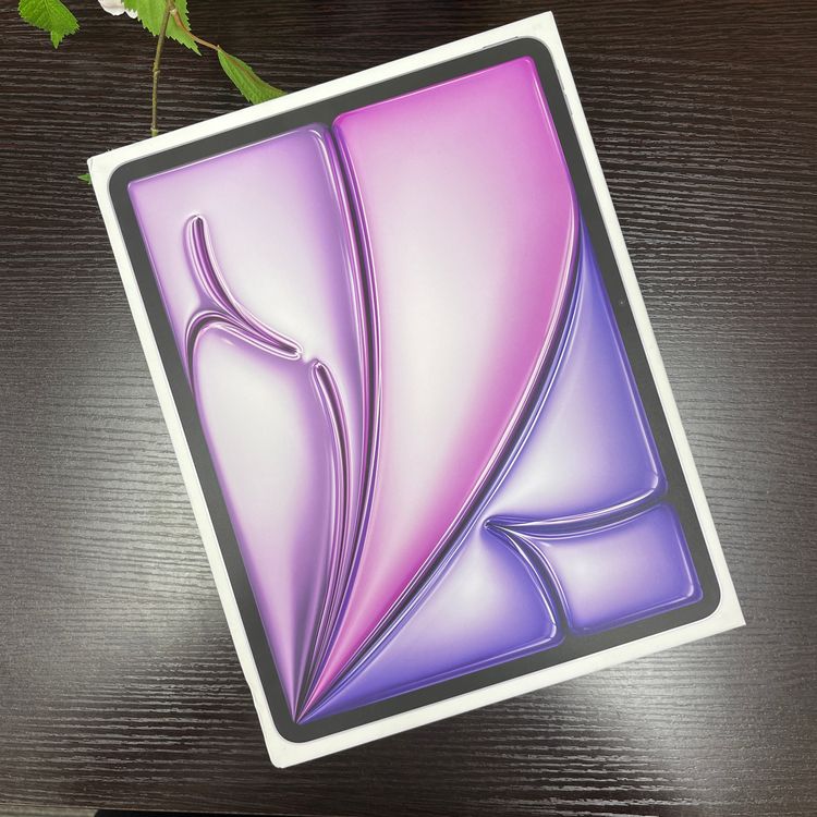 ʡ̤  13iPad AirM2256GB Wi-Fi + Cellularǥ