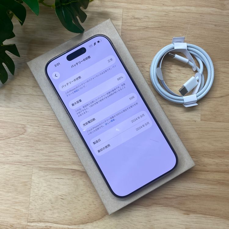 iPhone16Pro 1TB �ǥ����� ������ SIM�ե꡼ ����̵��