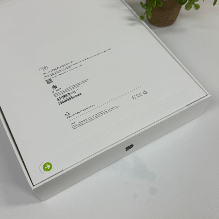 ���ʡ�̤���� iPad Pro 13����� M5 1TB �֥�å� WiFi��ǥ� ����̵��