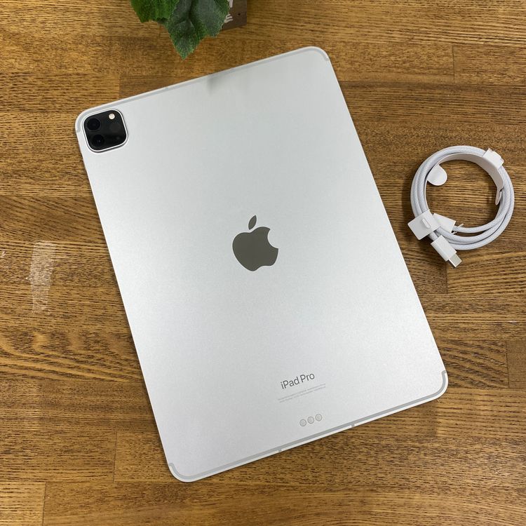 iPad Pro 11���������4����˥���С� 128GB Wi-Fi + Cellular��ǥ�