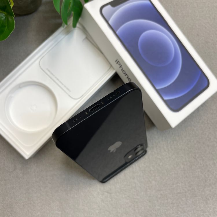 �Хåƥ꡼ 83% iPhone 12 256Gb �֥�å� ������ SIM�ե꡼