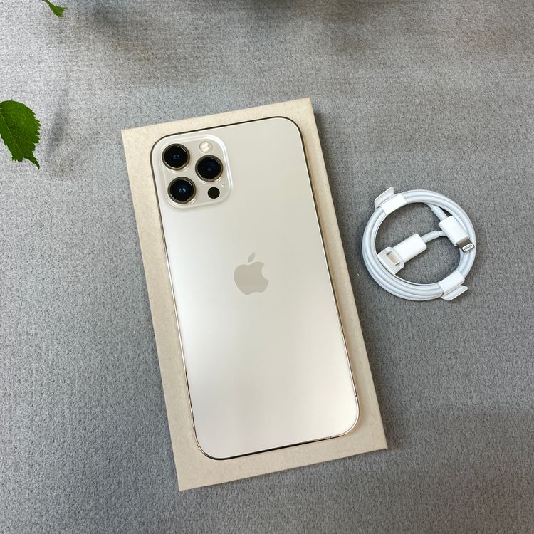 iPhone12 Pro Max 256Gb ������� ����SIM�ե꡼ ����̵��