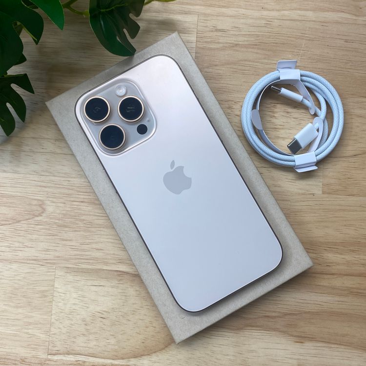 iPhone16Pro 1TB �ǥ����� ������ SIM�ե꡼ ����̵��