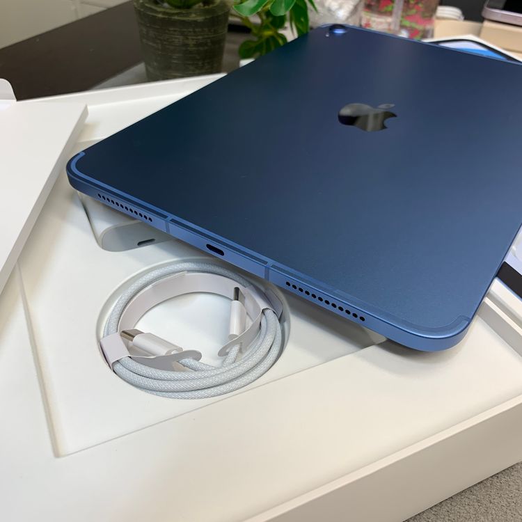 �Хåƥ꡼100% iPad A16 128GB �֥롼 WiFi + Cellular ����̵��