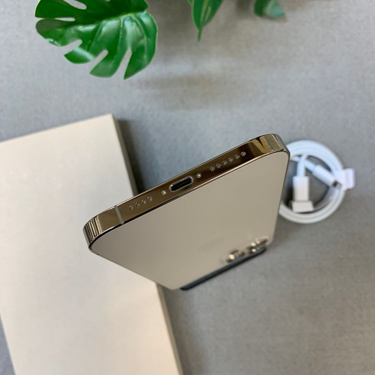 �Хåƥ꡼ 97�� iPhone12 ProMax 256Gb ������� ����SIM�ե꡼ ����̵��