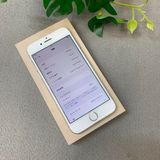 iPhone 8 64GB �ۥ磻�� ������ SIM�ե꡼����̵��