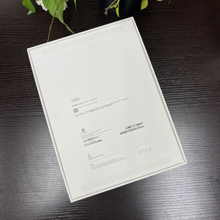 ʡ̤ iPad(A16) Wi-Fi + Cellularǥ SIMե꡼ ̵
