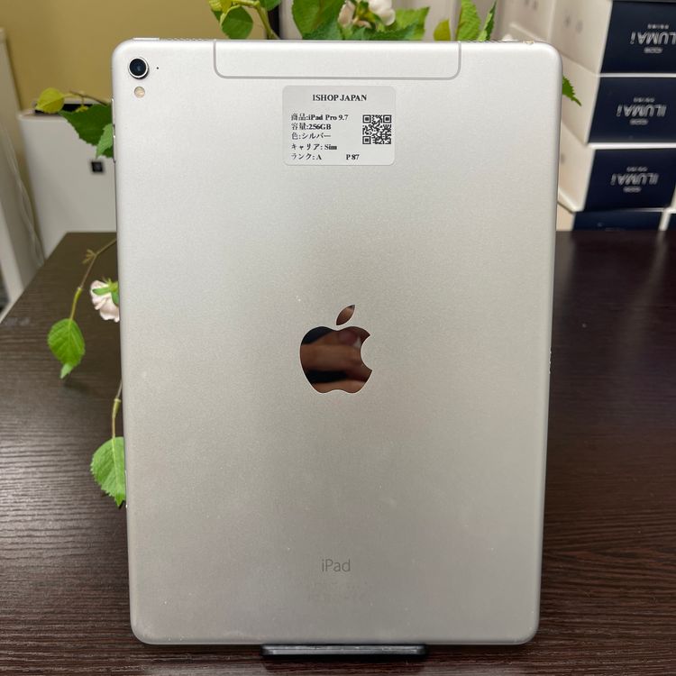 iPad Pro 9.7 256GB Wi-Fi + Cellularǥ SIMե꡼