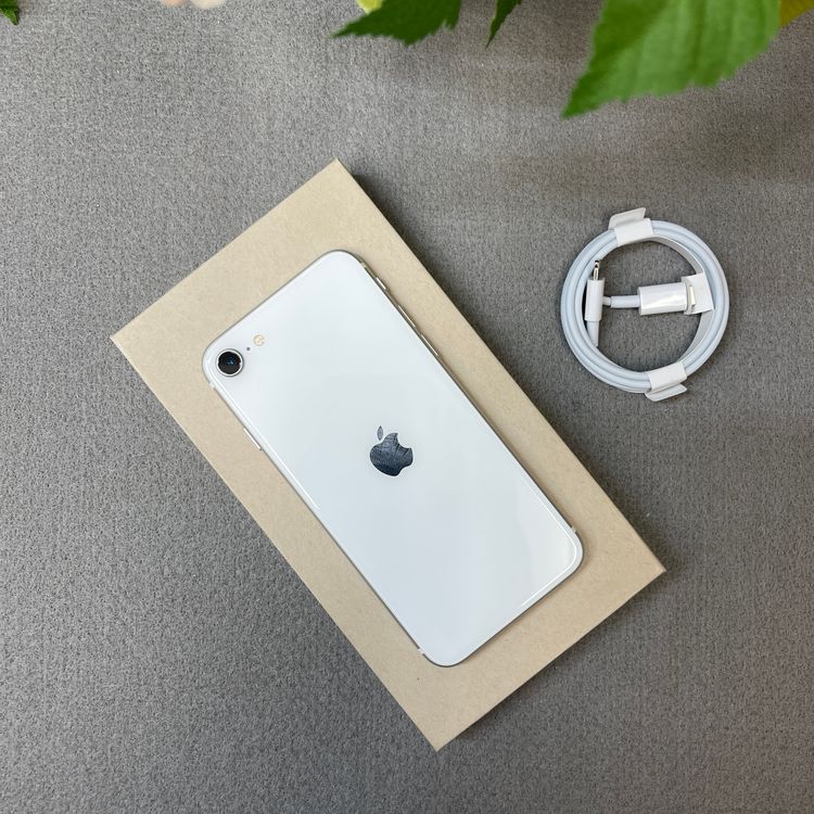 iPhone SE2 64Gb �ۥ磻�� ������ SIM�ե꡼ ����̵�� 53842