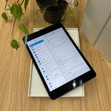 iPad mini 5 ڡ쥤 64Gb Wi-Fiǥ ̵