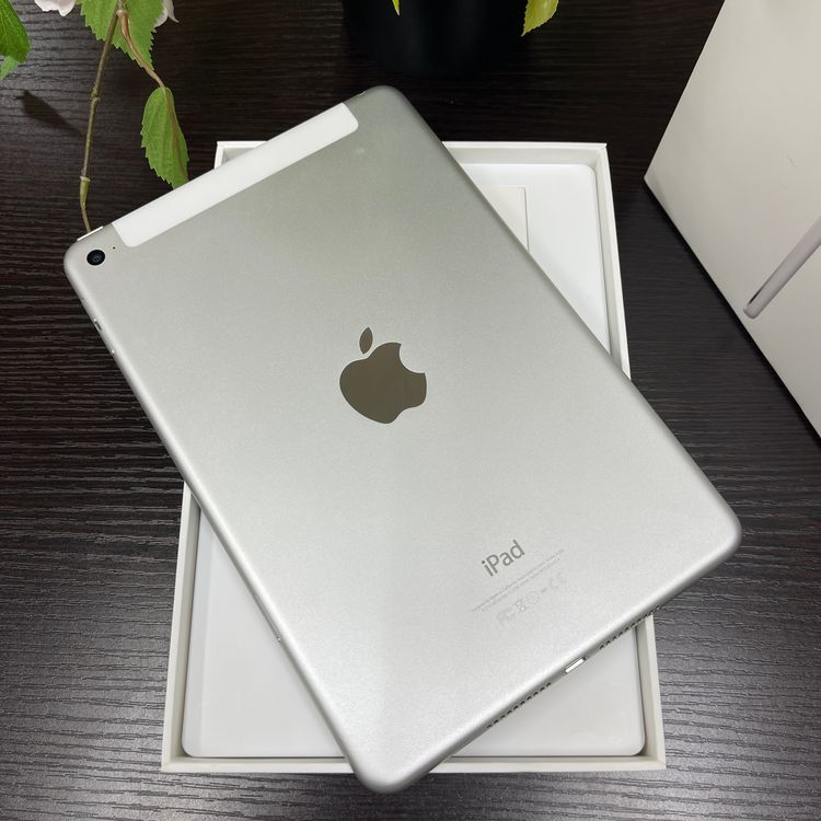 iPad mini 4 С Wi-Fi + Cellularǥ ̵