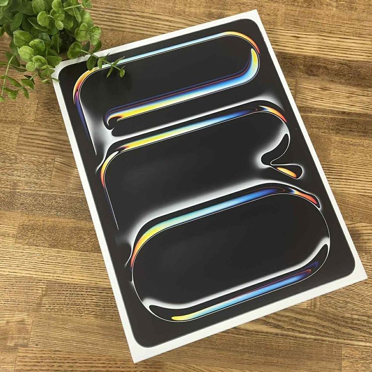 ʡ̤ iPad Pro M4å 13 ֥å WiFi ǥ̵