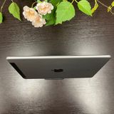 iPad Air 2 64GB С Wi-Fi + Cellularǥ SIMե꡼