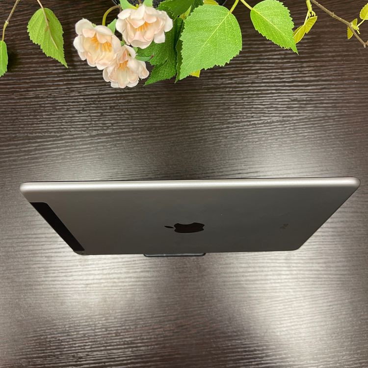 iPad Air 2 64GB С Wi-Fi + Cellularǥ SIMե꡼