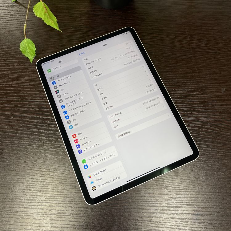 iPad Pro 112 256GB Wi-Fiǥ