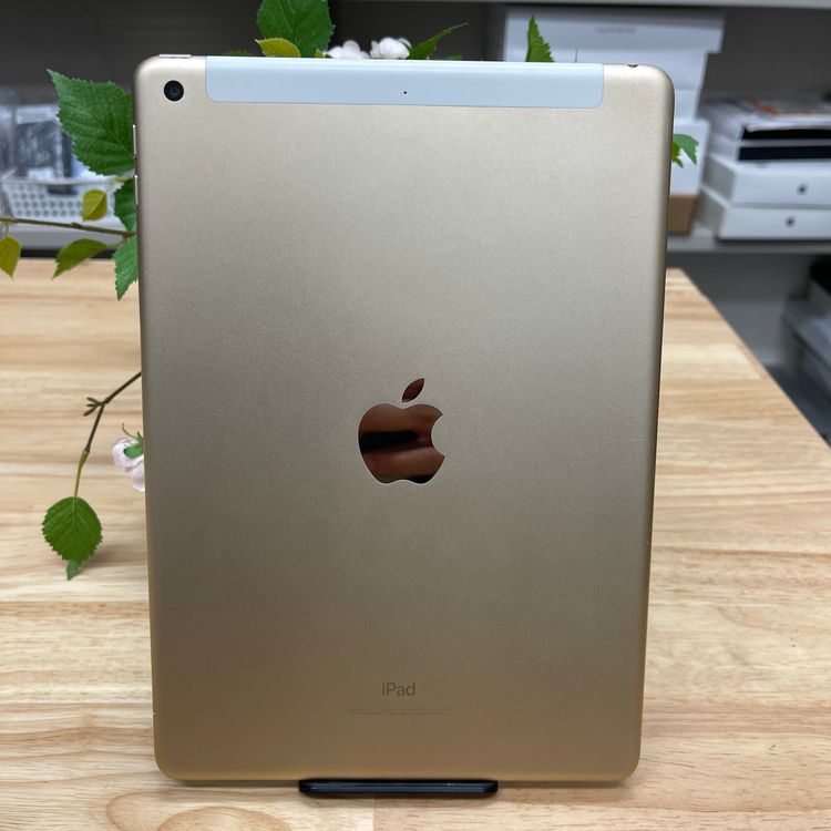 iPad(5) 128GB  Wi-Fi + Cellularǥ  ̵