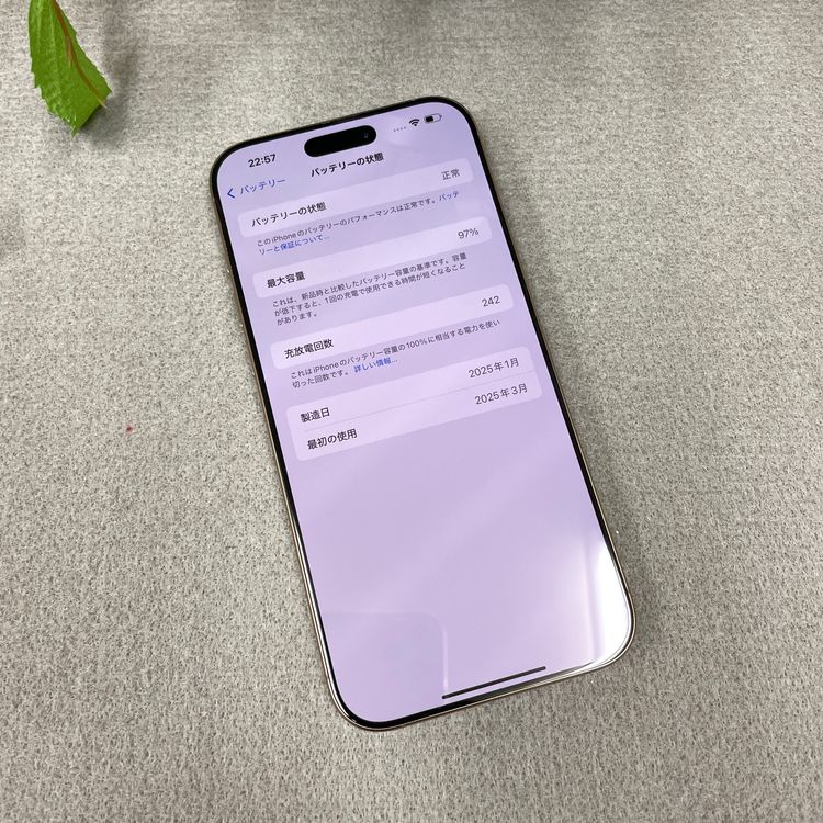 �Хåƥ꡼ 97% iPhone 16ProMax 256GB �ǥ����� ������ SIM�ե꡼