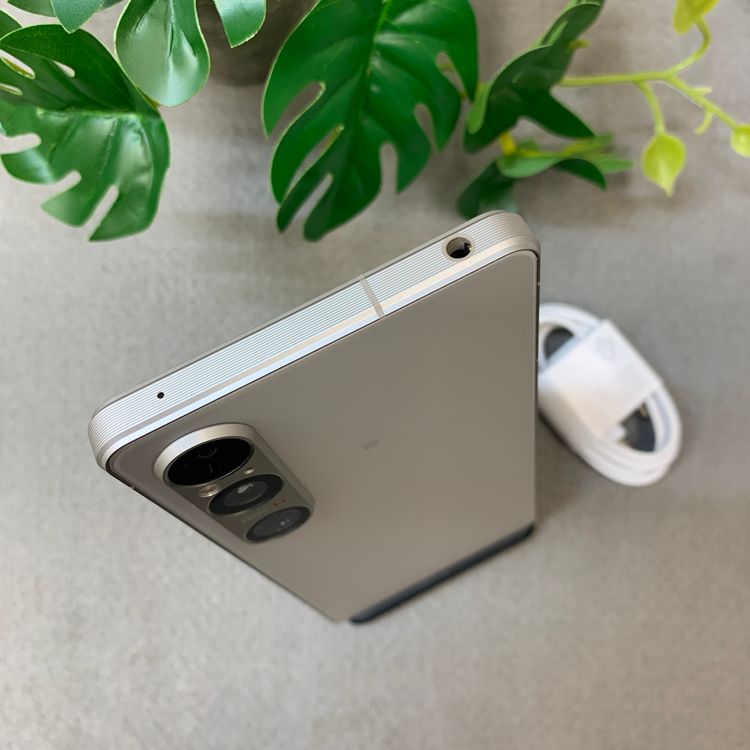 Xperia 1 VI 256GB �ץ���ʥ���С� �ɥ����� SIM�ե꡼����̵��