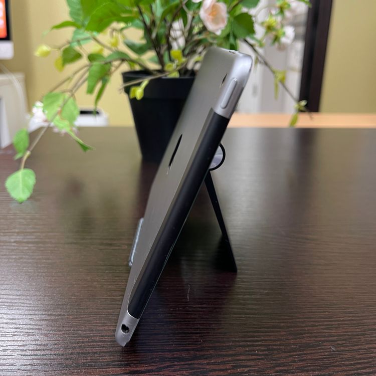iPad mini 4 128GB Wi-Fi + Cellularǥ  ̵