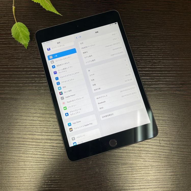 iPad mini 5 ڡ쥤 64Gb Wi-Fiǥ ̵