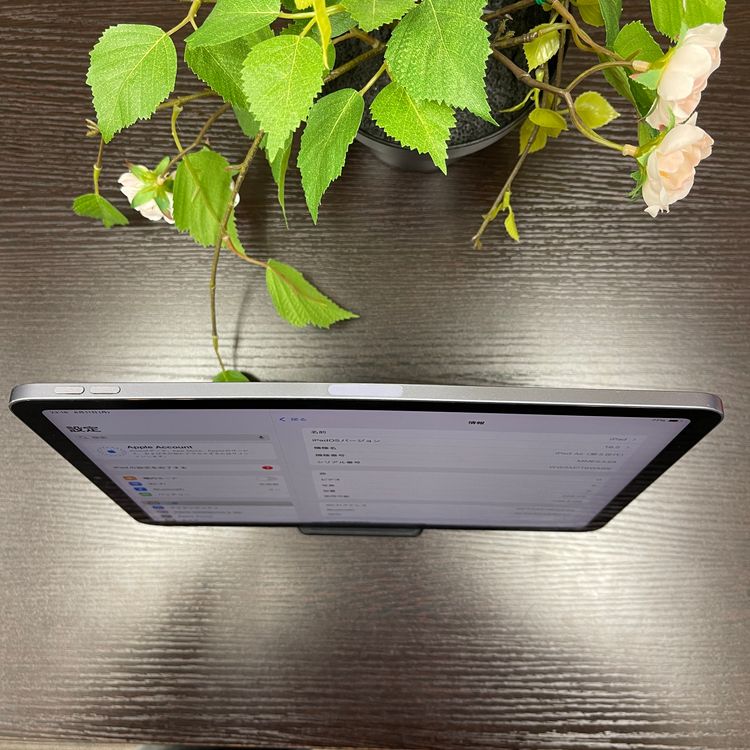 iPad Air(5) 256GB ѡץ Wi-Fiǥ