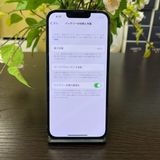 iPhone 13Pro 256GB ֥롼 SIMե꡼ ̵