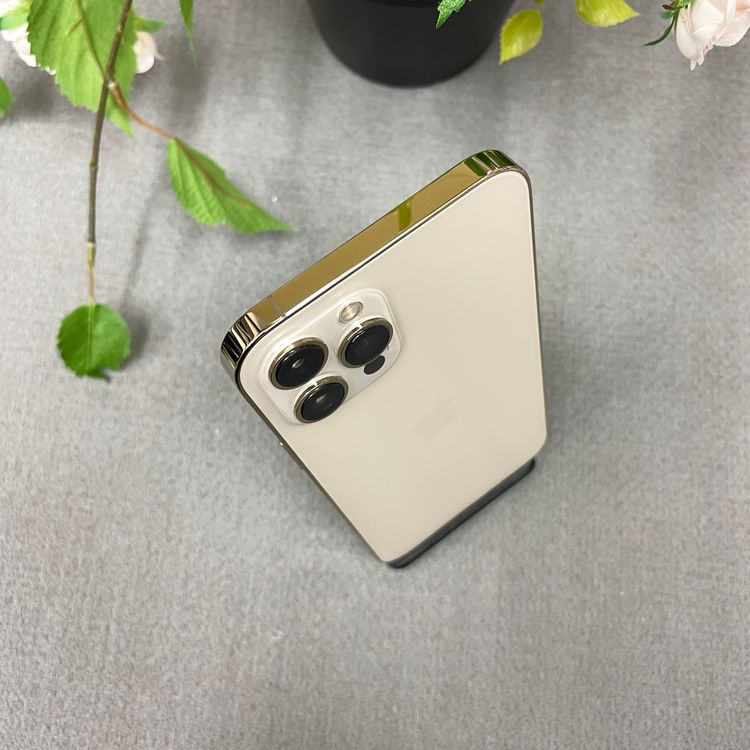 iPhone12 Pro Max 256Gb ������� ����SIM�ե꡼ ����̵��