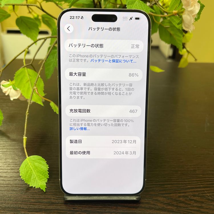 iPhone15ProMax 256Gb ʥ SIMե꡼̵