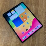 iPad Pro 3  12.9 256GB WiFi ǥ ڡ졼