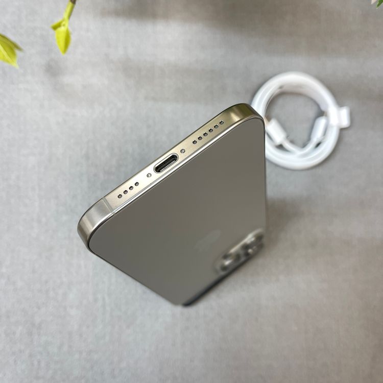 �Хåƥ꡼ 100% iPhone 16ProMax 256GB �ʥ����� ������ SIM�ե꡼