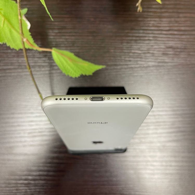 iPhone8 64GB С SIMե꡼ ̵
