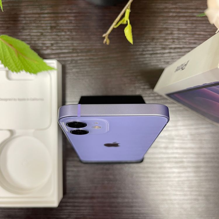 iPhone 12Mini 256GB ѡץ SIMե꡼ ̵