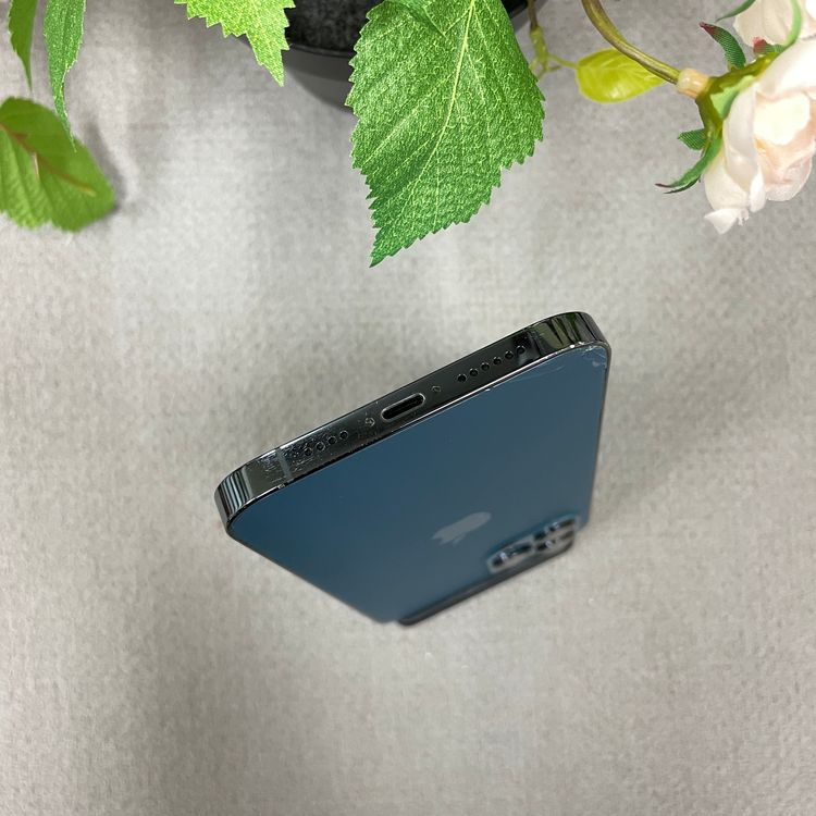 iPhone12 Pro Max 256Gb �֥롼 ����SIM�ե꡼ ����̵��