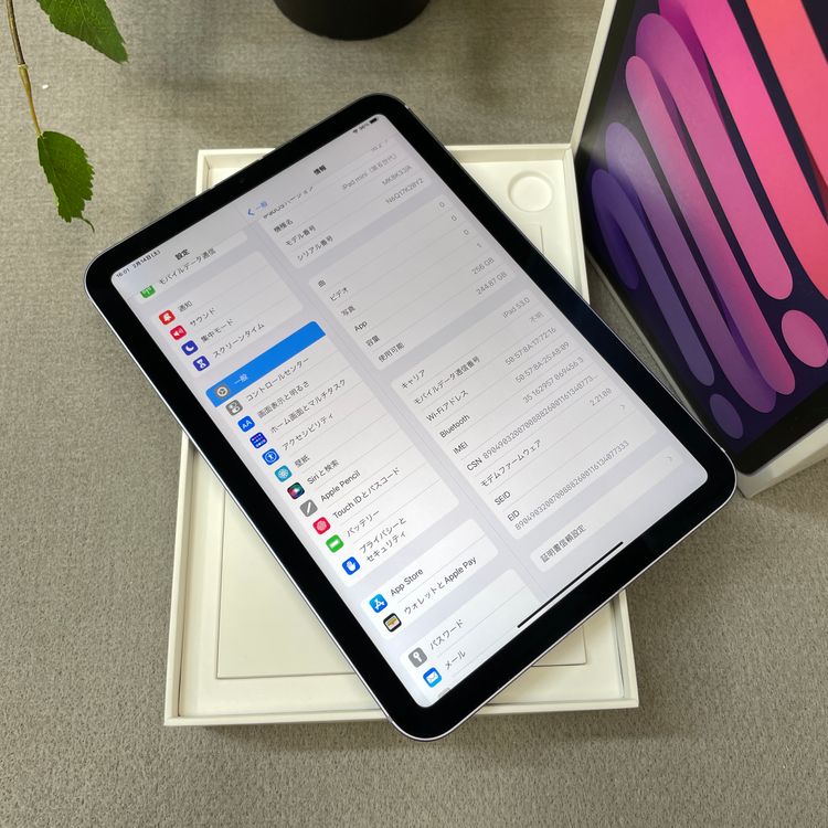 ����Ʊ�� iPad mini 6 256GB Wi-Fi + Cellular��ǥ� ����̵��