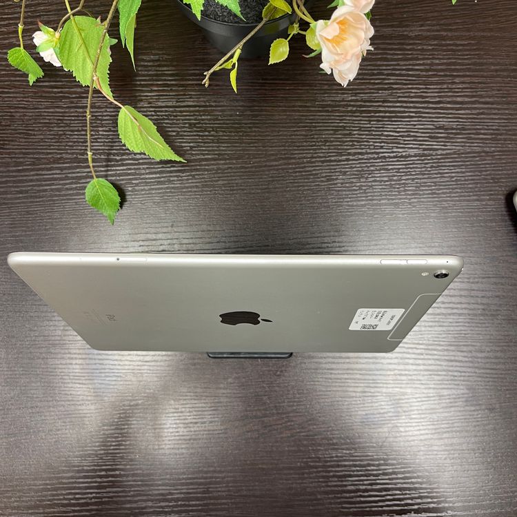 iPad Pro 9.7 256GB Wi-Fi + Cellularǥ SIMե꡼