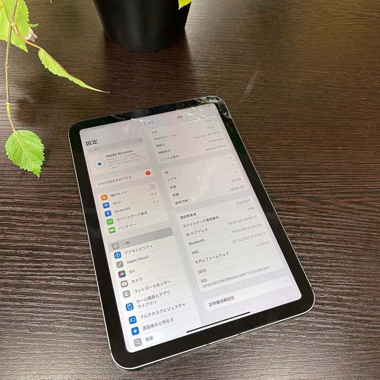 iPad Mini 6 64GB Wifi + Cellular SIMե꡼ ̵