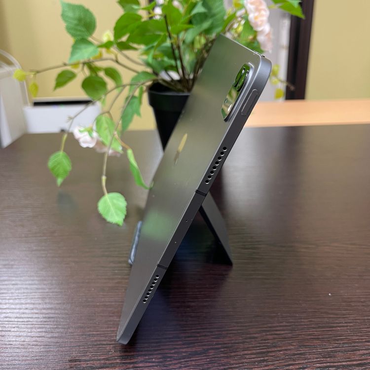 iPad Pro 113256GB Wi-Fi + Cellularǥ