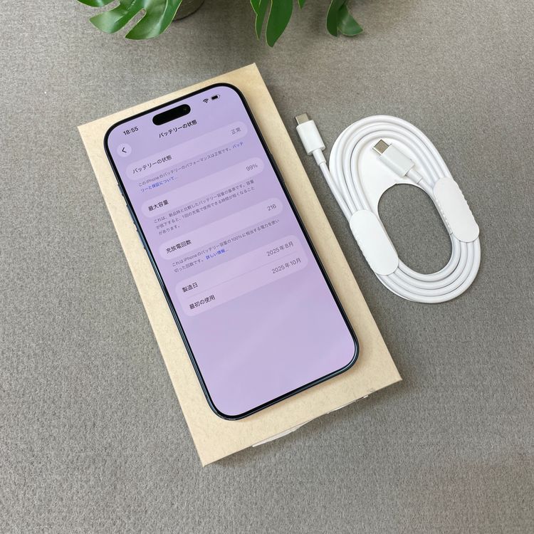 �Хåƥ꡼ 99% iPhone17Promax 256GB �֥롼 ������ SIM�ե꡼ ����̵��