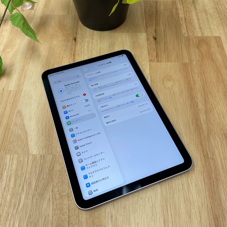 iPad Mini A17Pro 256GB ѡץ WiFi ǥ ̵