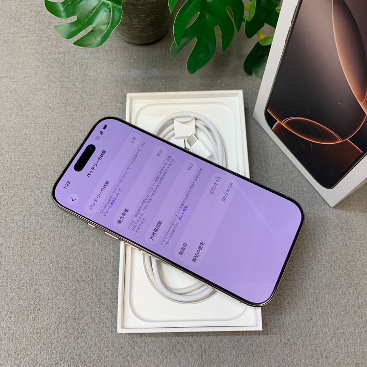 �Хåƥ꡼91% iPhone16 Pro 256GB �ǥ����� ������ SIM�ե꡼