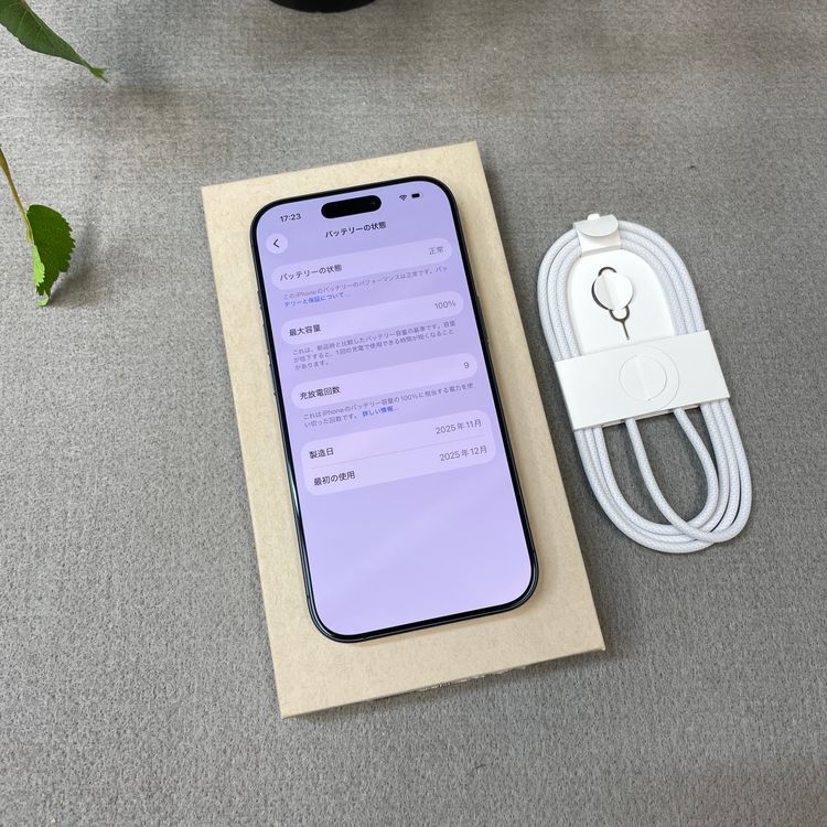 ����Ʊ�� iPhone 17 256GB �֥�å� ������ SIM�ե꡼ ����̵��